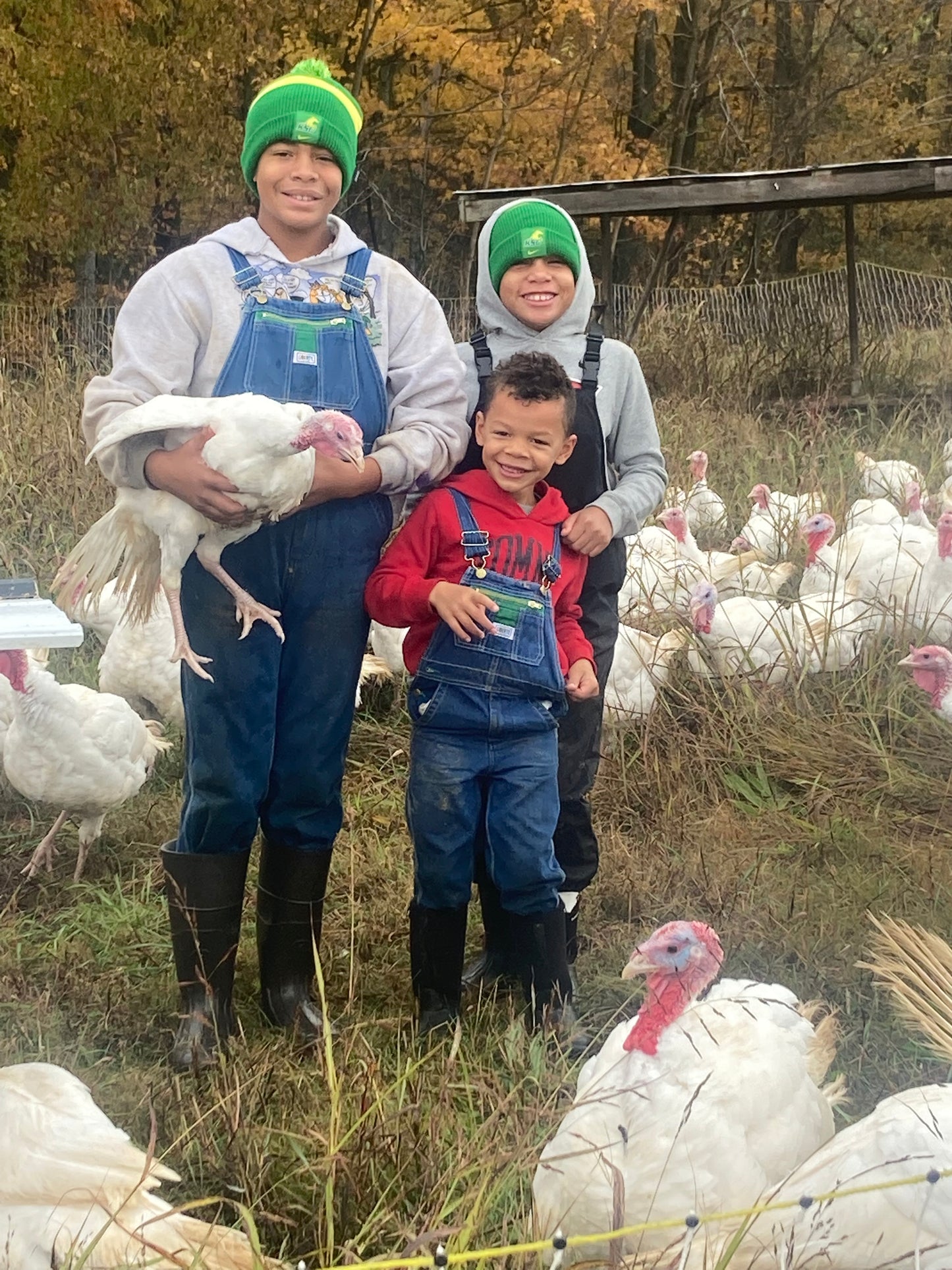 Pasture Raised Whole Turkey