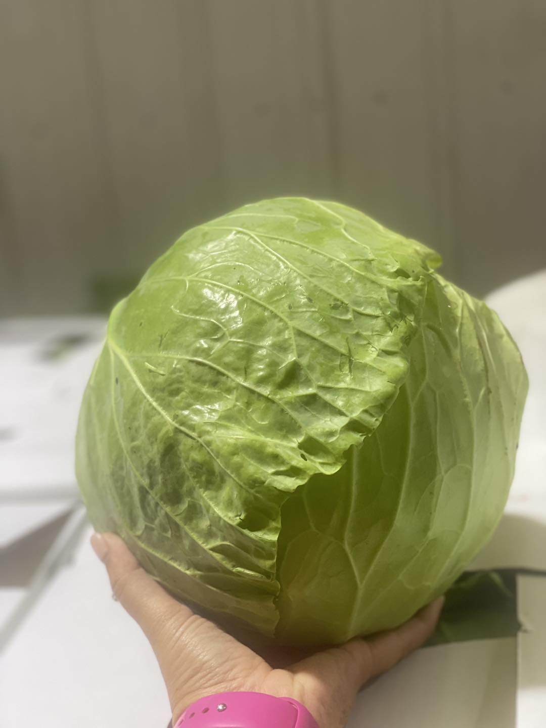 Iceberg Lettuce