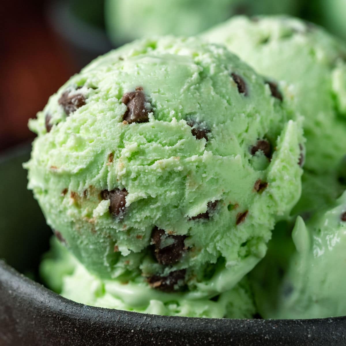 Mint Chocolate Chip Ice Cream - Pint
