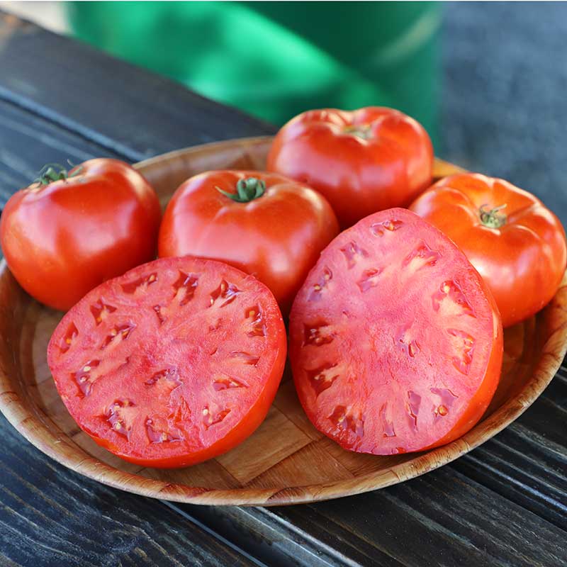 Bi-Weekly Farm-Fresh Tomato Box Subscription