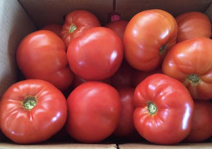 5/10/24 Early Season Weekly Tomatoes