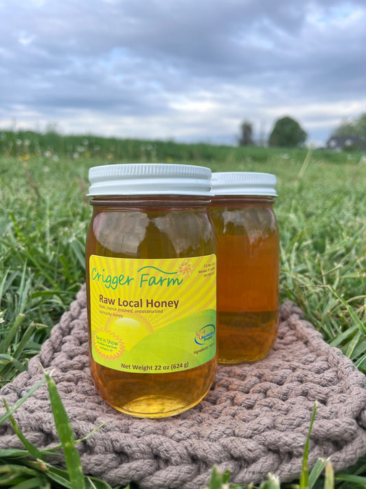 Spring Raw Honey – Pint Jar