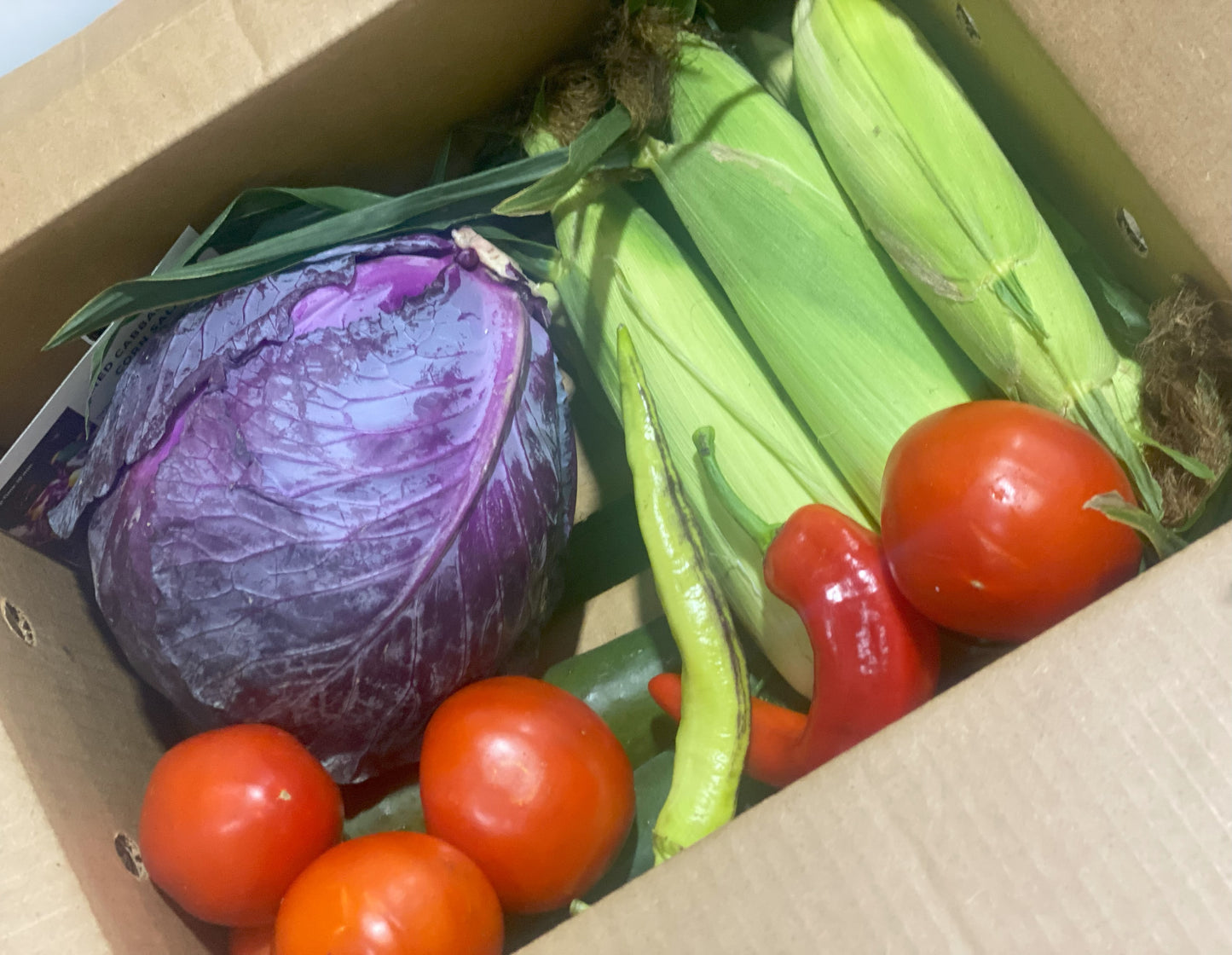 2026 Full Season Variety Plus Box