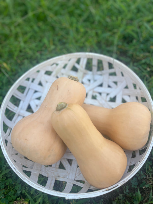 Farm Fresh Butternut Squash 3/$10