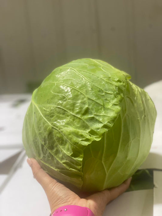Iceberg Lettuce