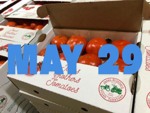 May 29th Early Season Fresh Tomatoes