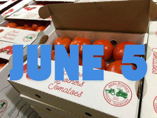 June 5th Early Season Fresh Tomatoes
