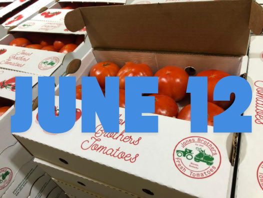 June 12th Early Season Fresh Tomatoes