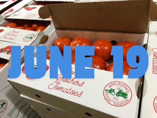 June 19th Early Season Fresh Tomatoes