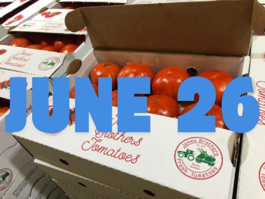 June 26th Early Season Fresh Tomatoes