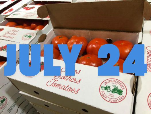 July 24th Fresh Tomatoes