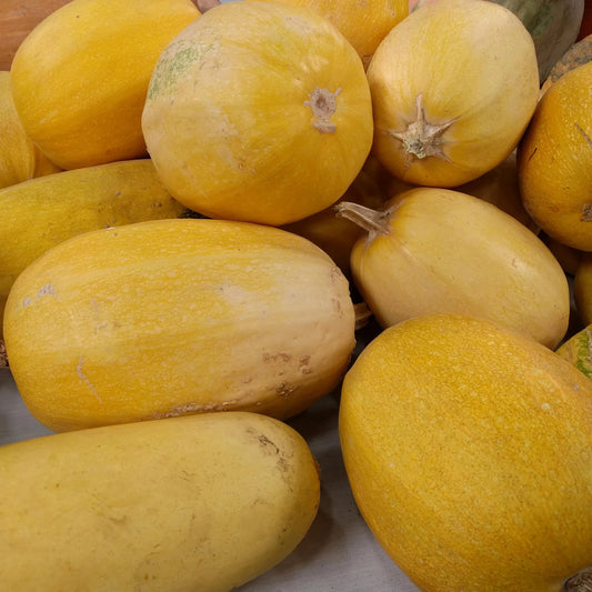 Farm Fresh Small Spaghetti Squash 3/$8