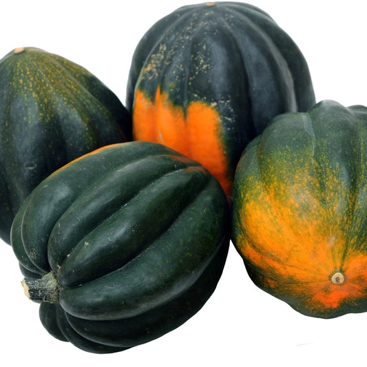 Farm Fresh Acorn Squash