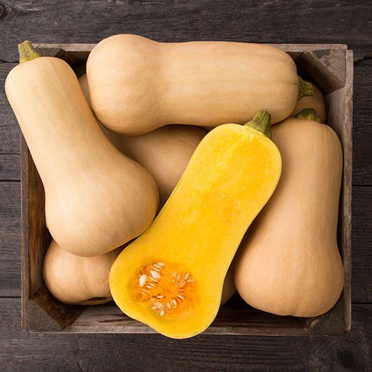 Farm Fresh Butternut Squash 3/$10