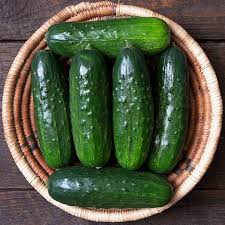 Farm Fresh Cucumbers