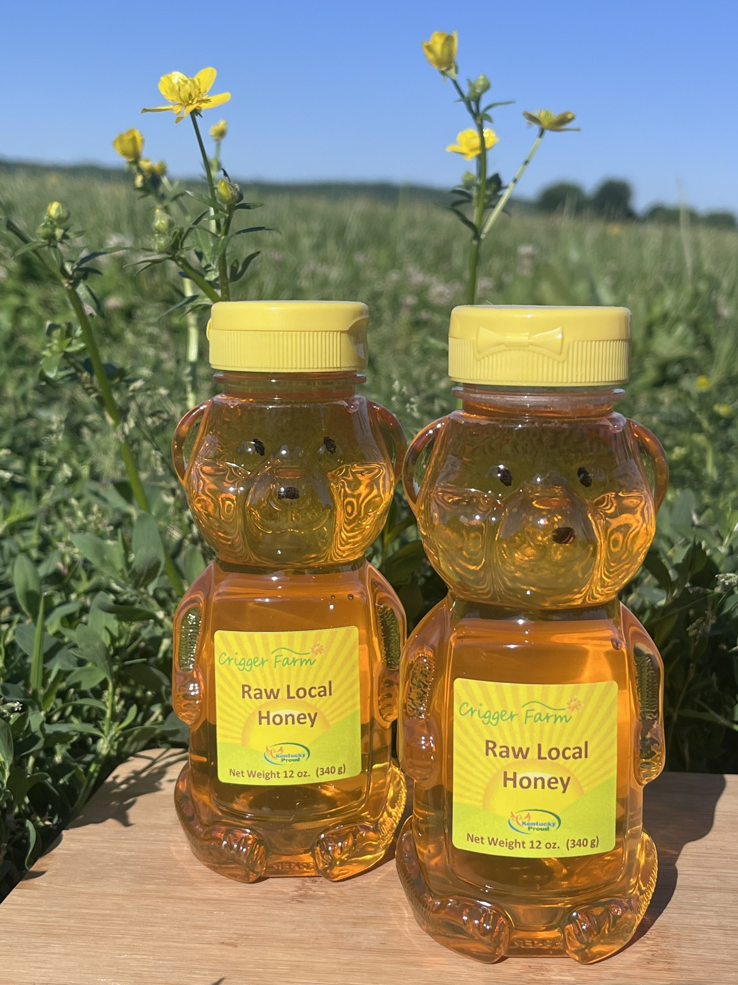 Raw Honey – Jones Brothers Farms