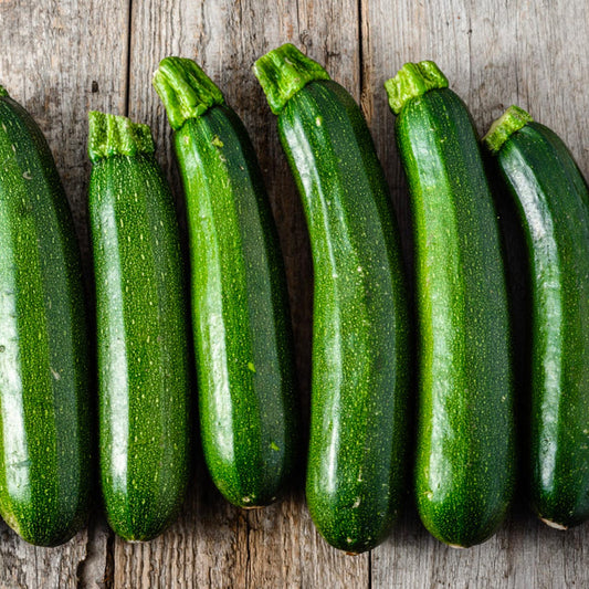 Farm Fresh Zucchini