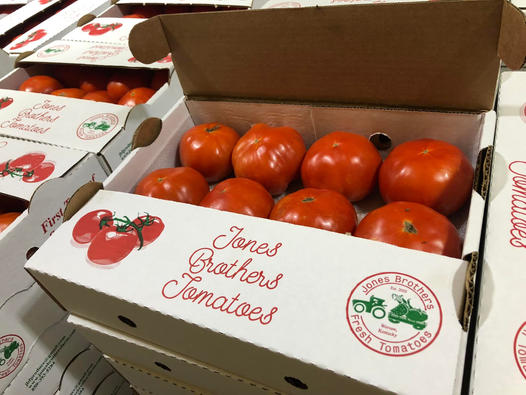 May 1st Early Season Fresh Tomatoes